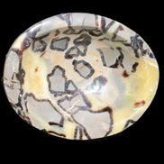 Septarian Dragon Stone bowl 189*148*60mm 2140g in sunlight - Rocks and Things Store