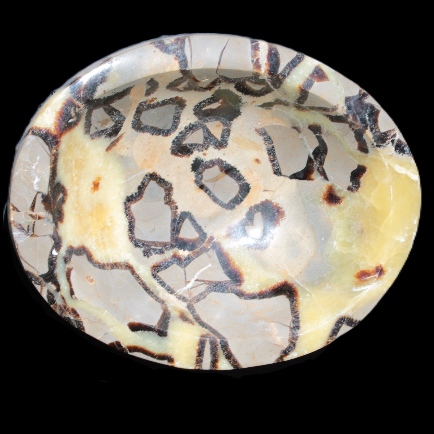 Septarian Dragon Stone bowl 189*148*60mm 2140g