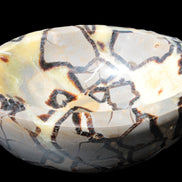 Septarian Dragon Stone bowl 189*148*60mm 2140g in sunlight - Rocks and Things Store