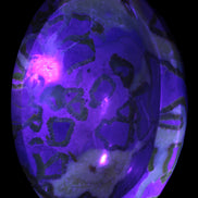 Septarian Dragon Stone bowl 189*148*60mm 2140g in UV light - Rocks and Things Store
