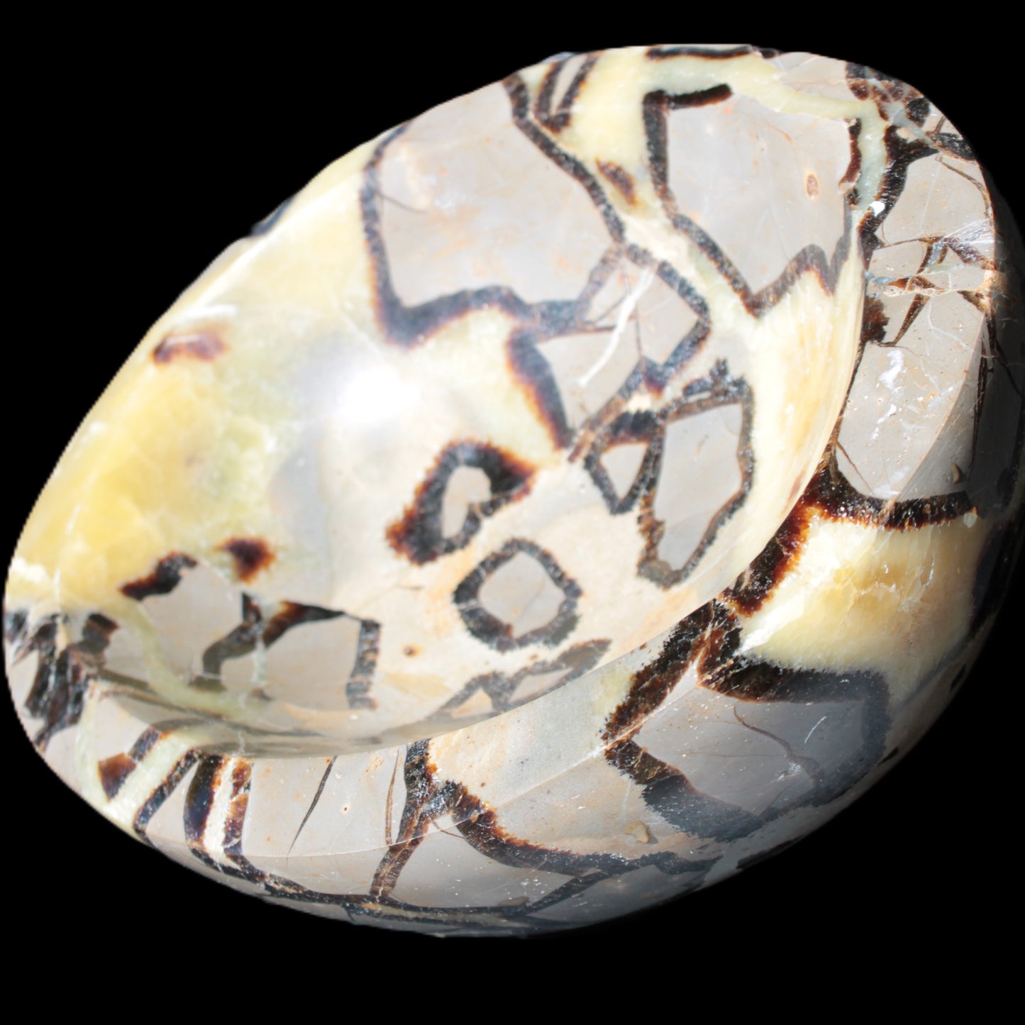 Septarian Dragon Stone bowl 189*148*60mm 2140g