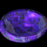 Septarian Dragon Stone bowl 189*148*60mm 2140g in UV light - Rocks and Things Store