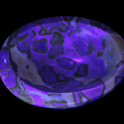 Septarian Dragon Stone bowl 189*148*60mm 2140g in UV light - Rocks and Things Store