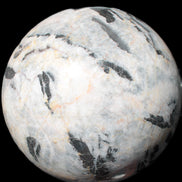 Big Zebra Stone sphere 147mm 4780g in sunlight - Rocks and Things Store