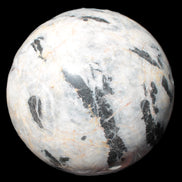 Big Zebra Stone sphere 147mm 4780g in sunlight - Rocks and Things Store