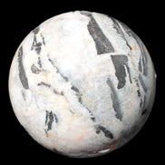 Big Zebra Stone sphere 147mm 4780g in sunlight - Rocks and Things Store