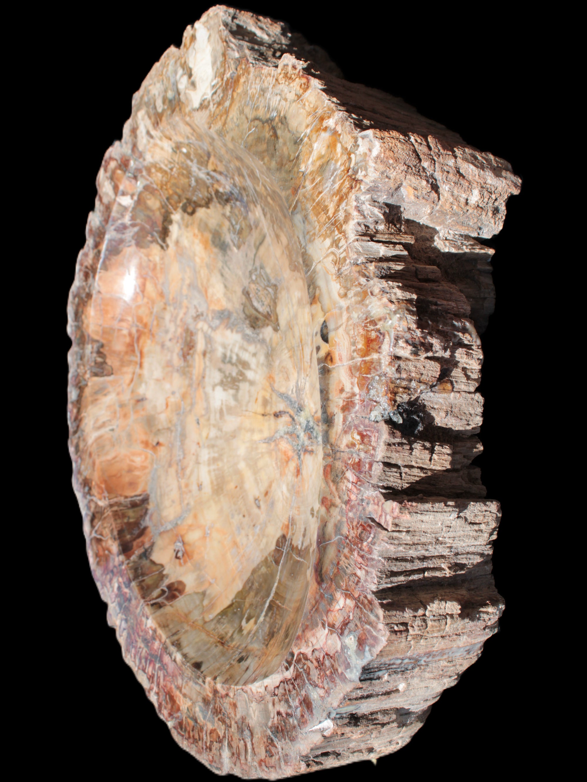 Big Petrified Wood hand-carved bowl 315*225*60mm 5560g in sunshine - Rocks and Things Store