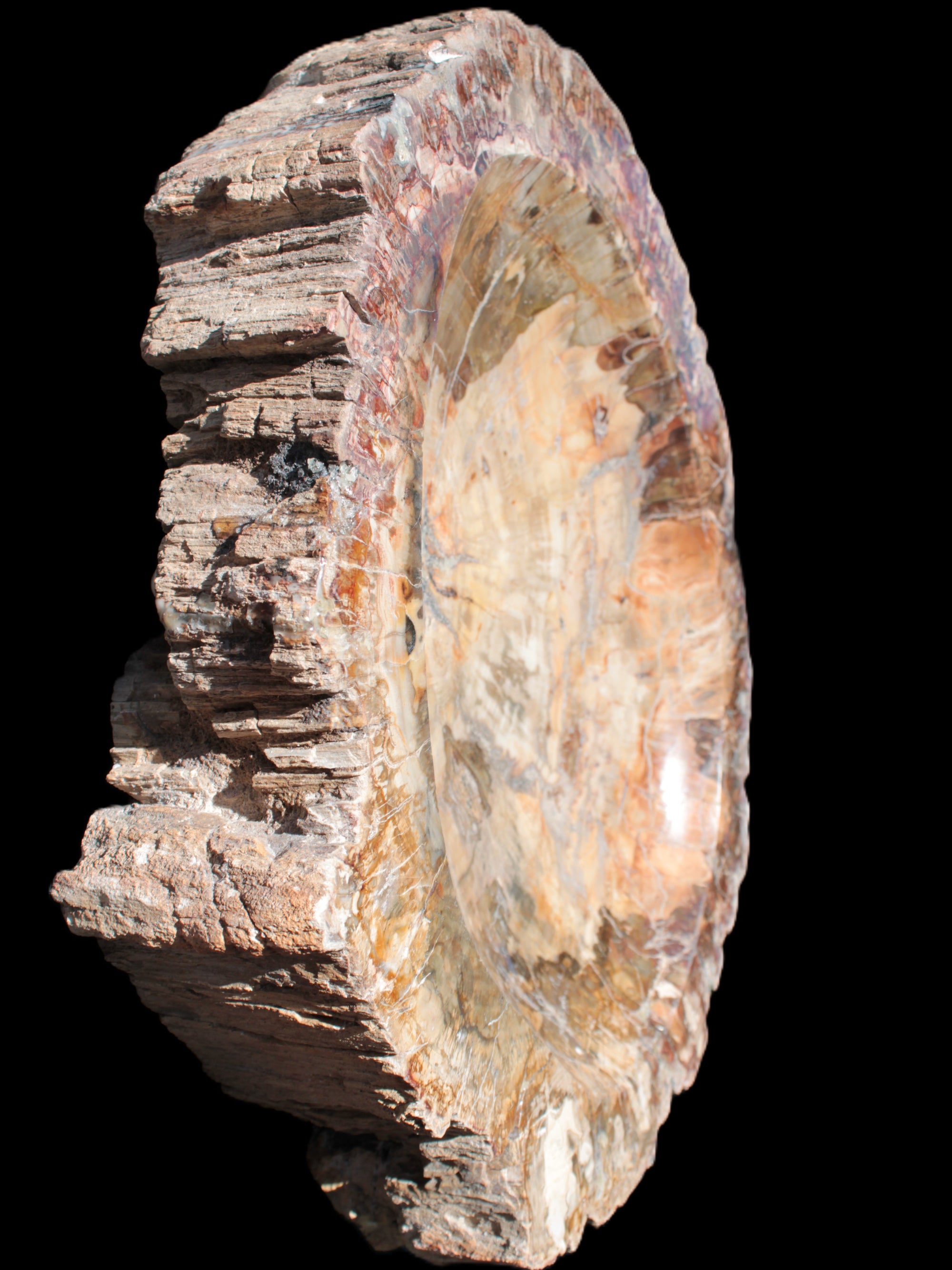 Big Petrified Wood hand-carved bowl 315*225*60mm 5560g in sunshine - Rocks and Things Store