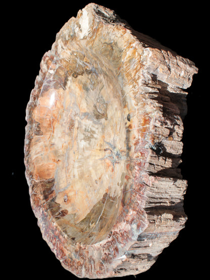 Big Petrified Wood hand-carved bowl 315*225*60mm 5560g