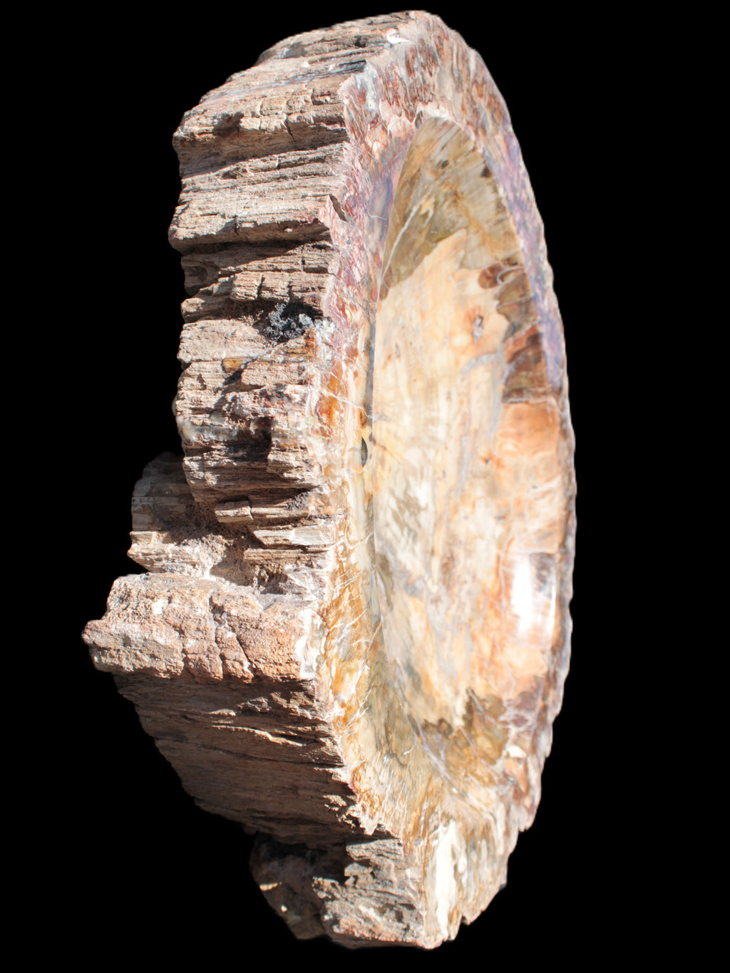 Big Petrified Wood hand-carved bowl 315*225*60mm 5560g in sunshine - Rocks and Things Store