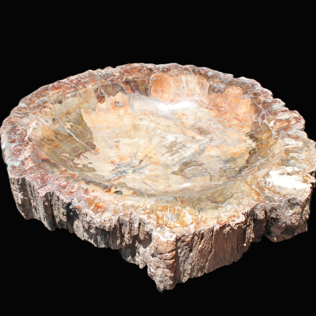 Big Petrified Wood hand-carved bowl 315*225*60mm 5560g in sunshine - Rocks and Things Store