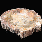 Big Petrified Wood hand-carved bowl 315*225*60mm 5560g in sunshine - Rocks and Things Store