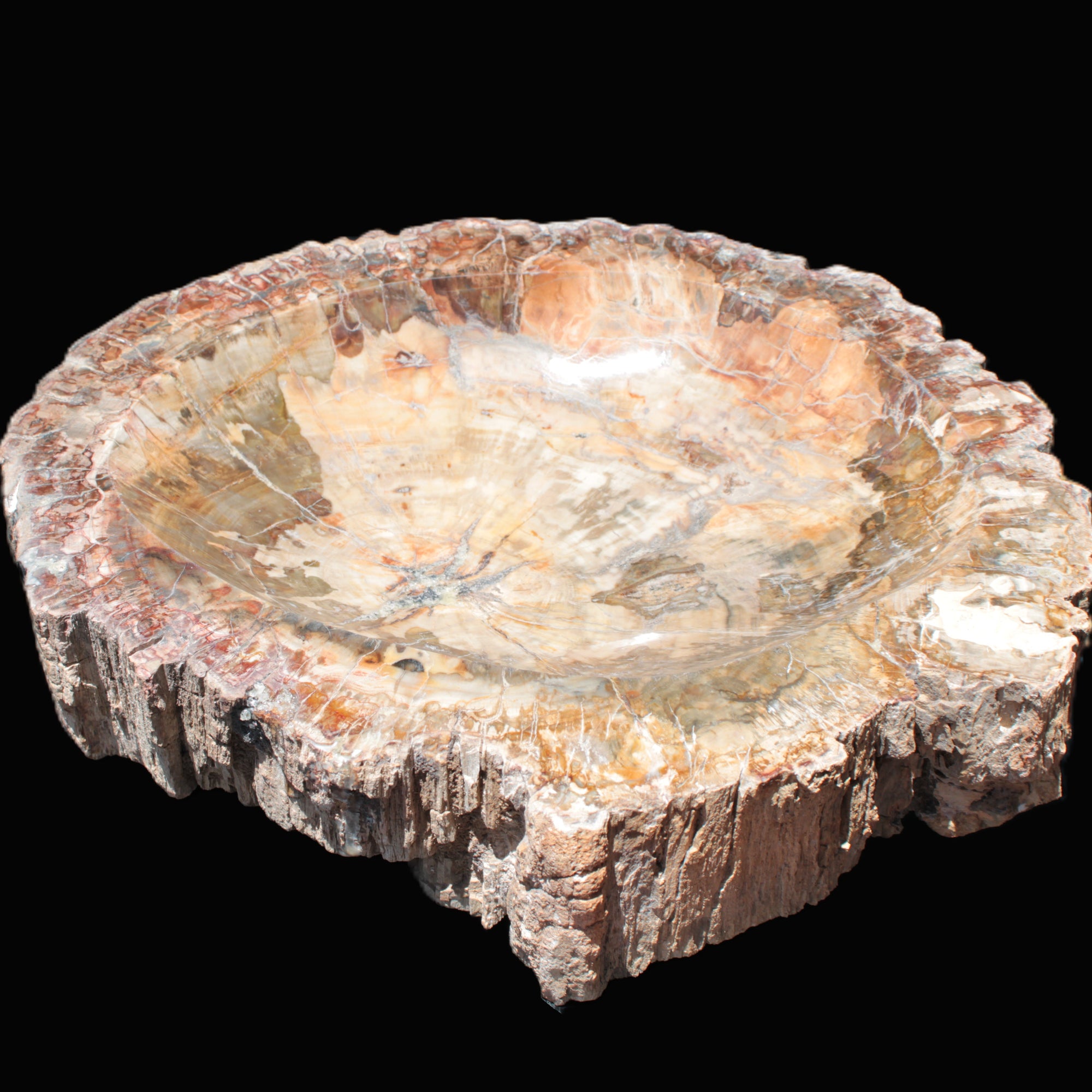 Big Petrified Wood hand-carved bowl 315*225*60mm 5560g in sunshine - Rocks and Things Store
