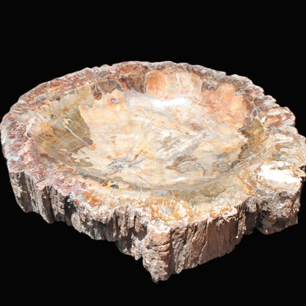 Big Petrified Wood hand-carved bowl 315*225*60mm 5560g in sunshine - Rocks and Things Store