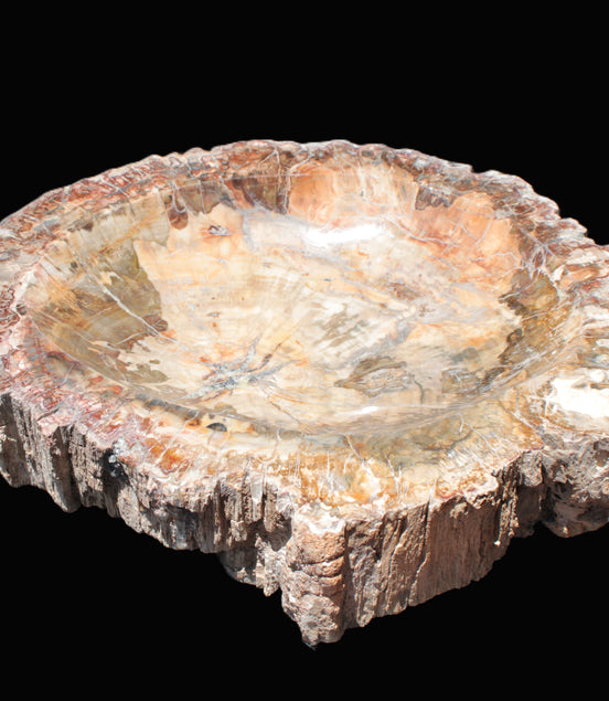 Big Petrified Wood hand-carved bowl 315*225*60mm 5560g in sunshine - Rocks and Things Store