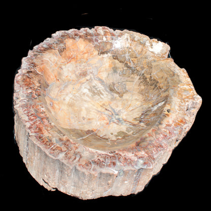 Big Petrified Wood hand-carved bowl 315*225*60mm 5560g