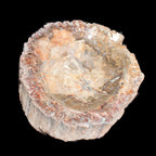 Big Petrified Wood hand-carved bowl 315*225*60mm 5560g in sunshine - Rocks and Things Store