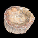 Big Petrified Wood hand-carved bowl 315*225*60mm 5560g in sunshine - Rocks and Things Store
