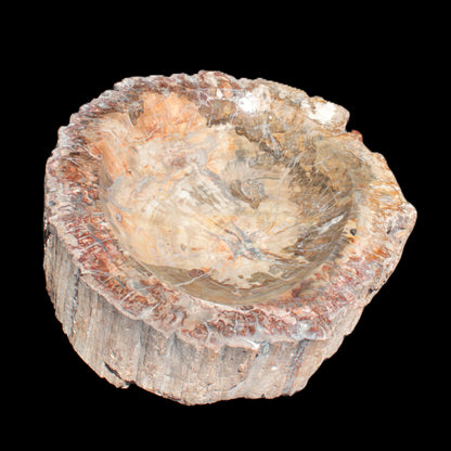 Big Petrified Wood hand-carved bowl 315*225*60mm 5560g