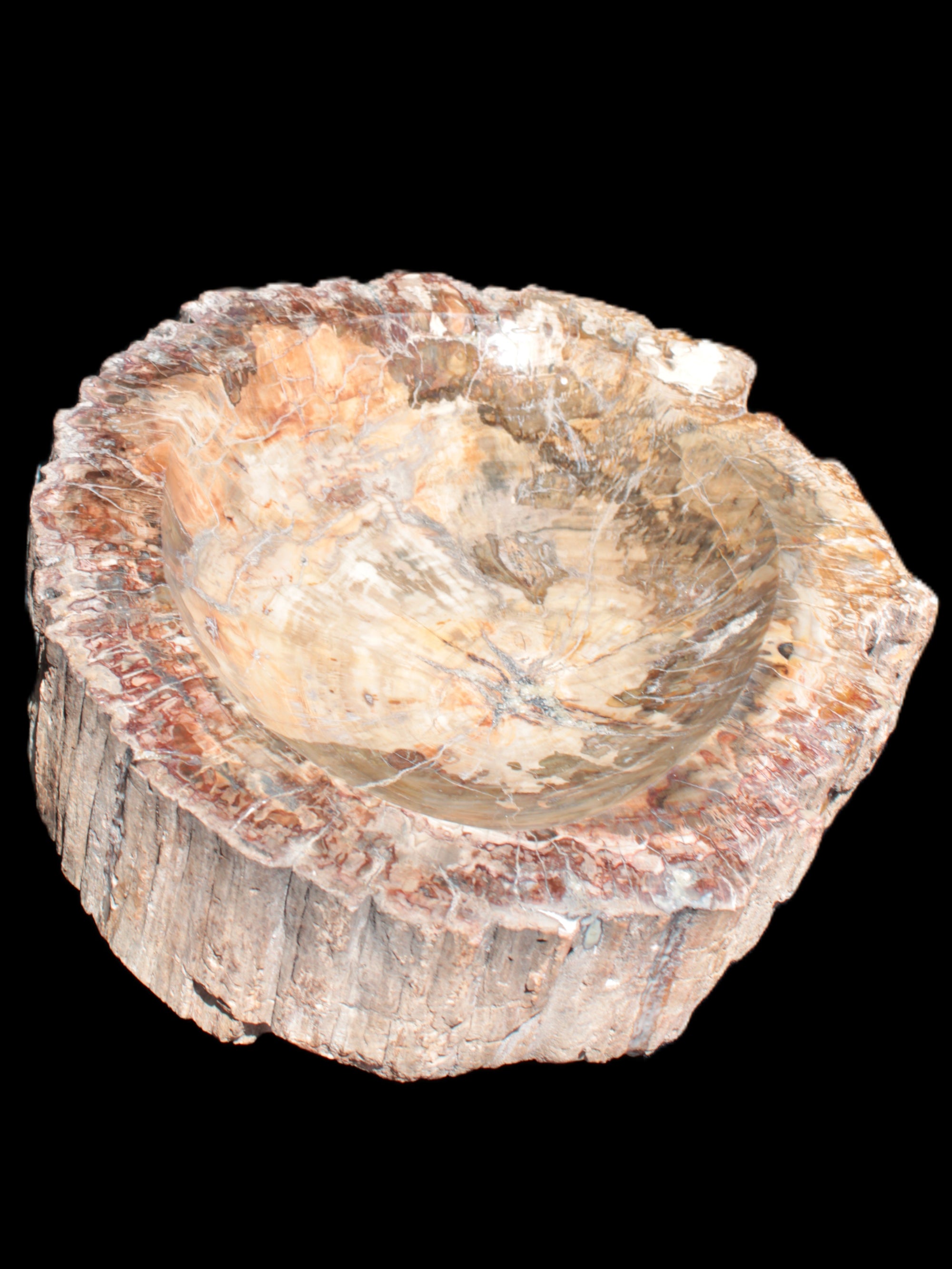 Big Petrified Wood hand-carved bowl 315*225*60mm 5560g in sunshine - Rocks and Things Store