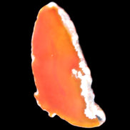 Burnt Orange Agate 75*5*38mm slice 24g Rocks and Things Store