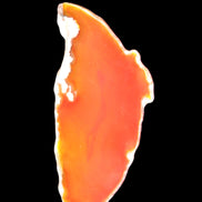 Burnt Orange Agate 75*5*38mm slice 24g Rocks and Things Store