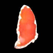 Burnt Orange Agate 75*5*38mm slice 24g Rocks and Things Store