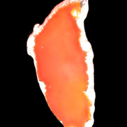 Burnt Orange Agate 75*5*38mm slice 24g Rocks and Things Store