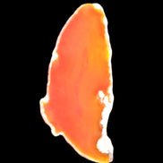 Burnt Orange Agate 75*5*38mm slice 24g Rocks and Things Store