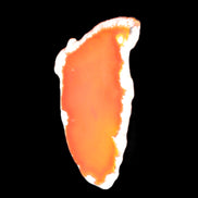 Burnt Orange Agate 75*5*38mm slice 24g Rocks and Things Store