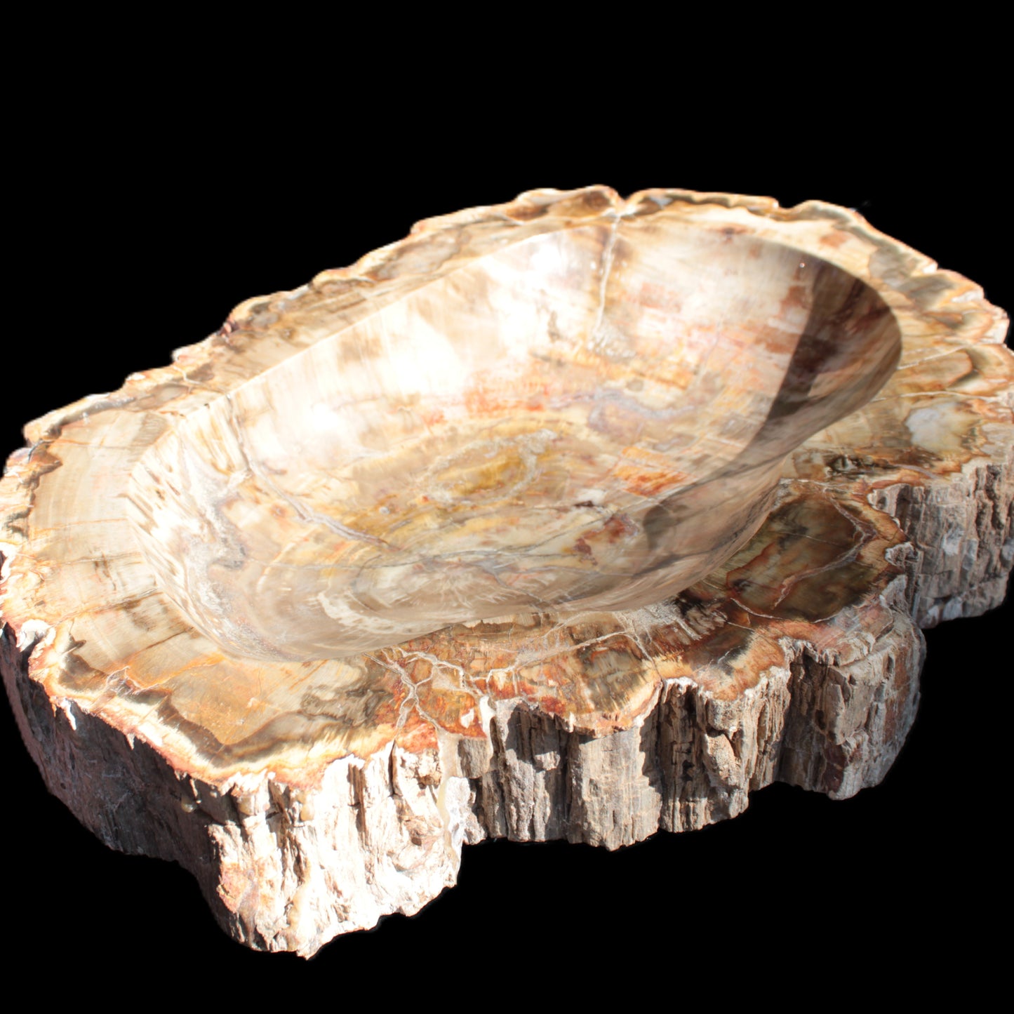 Imposing Petrified Wood bowl 281*243*58mm 5540g