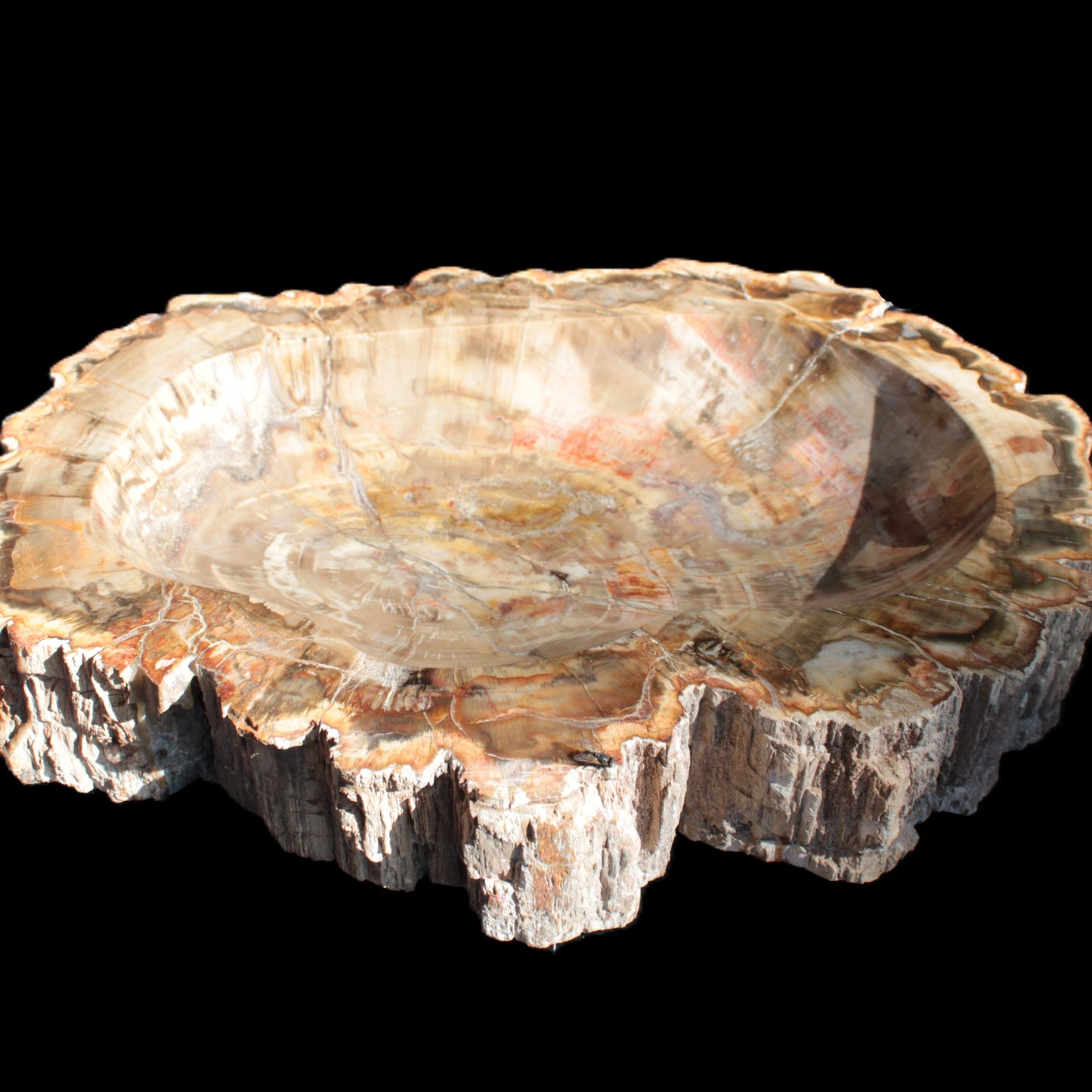 Imposing Petrified Wood bowl 281*243*58mm 5540g