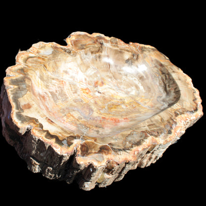 Imposing Petrified Wood bowl 281*243*58mm 5540g