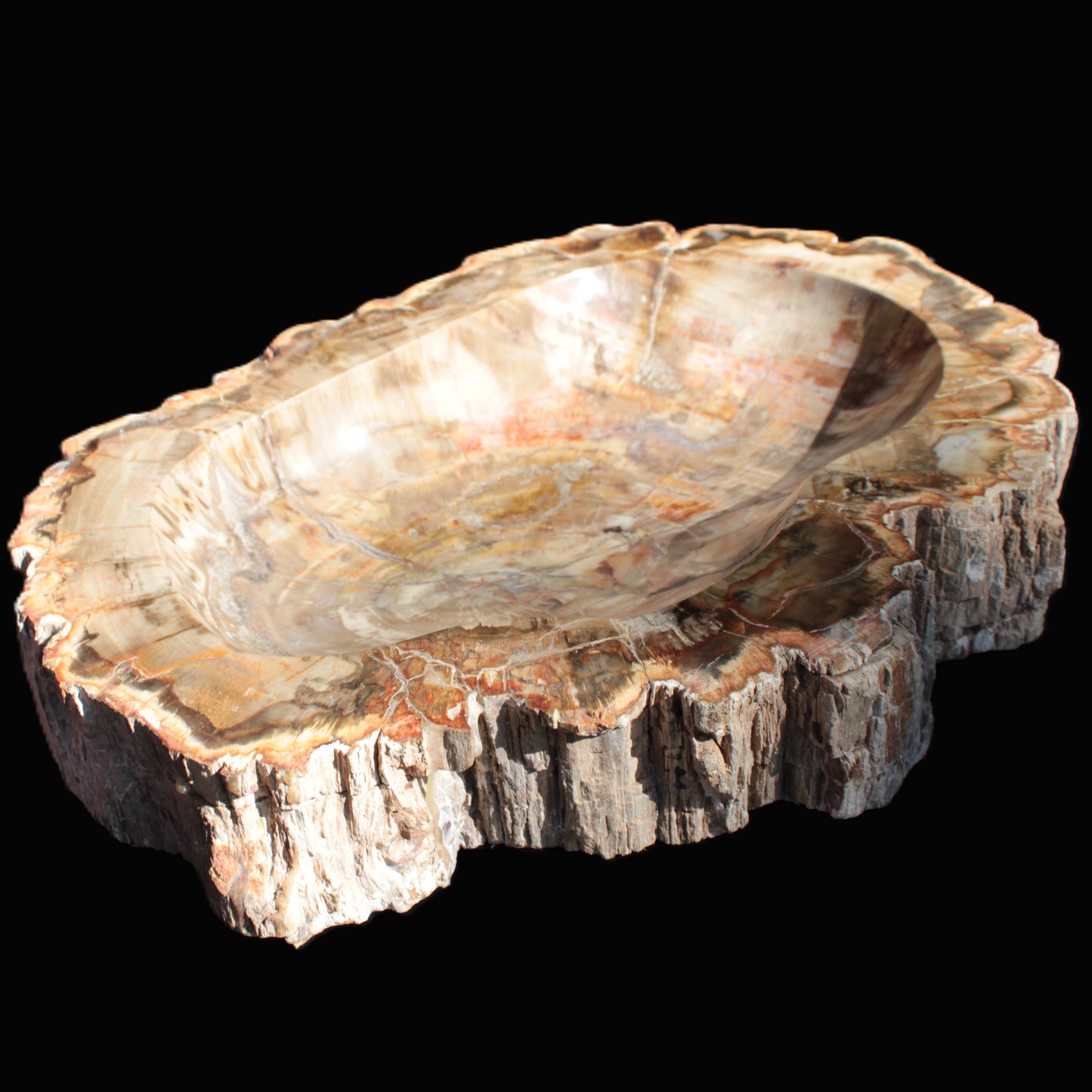 Imposing Petrified Wood bowl 281*243*58mm 5540g