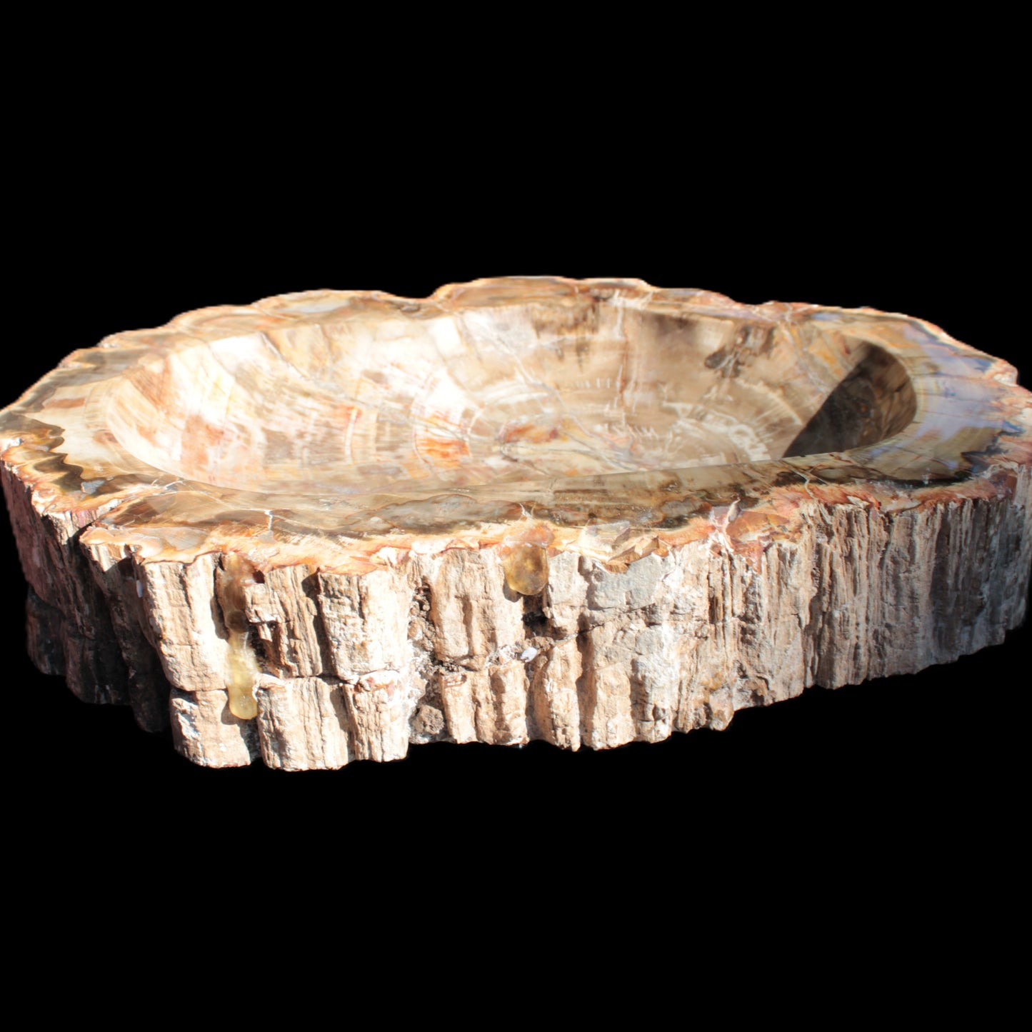 Imposing Petrified Wood bowl 281*243*58mm 5540g