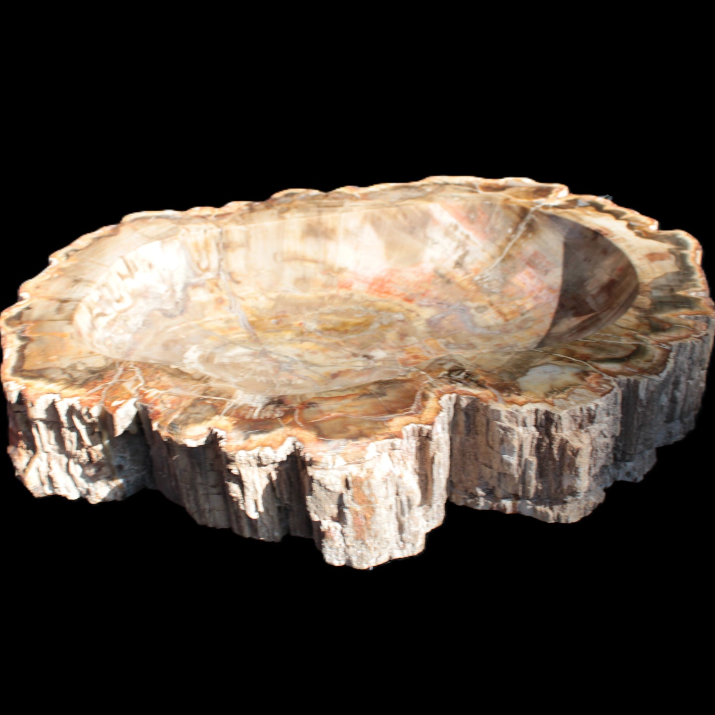 Imposing Petrified Wood bowl 281*243*58mm 5540g