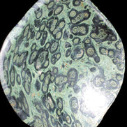 Kambaba Jasper bowl 203*203*49mm 1960g