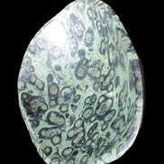 Kambaba Jasper bowl 203*203*49mm 1960g