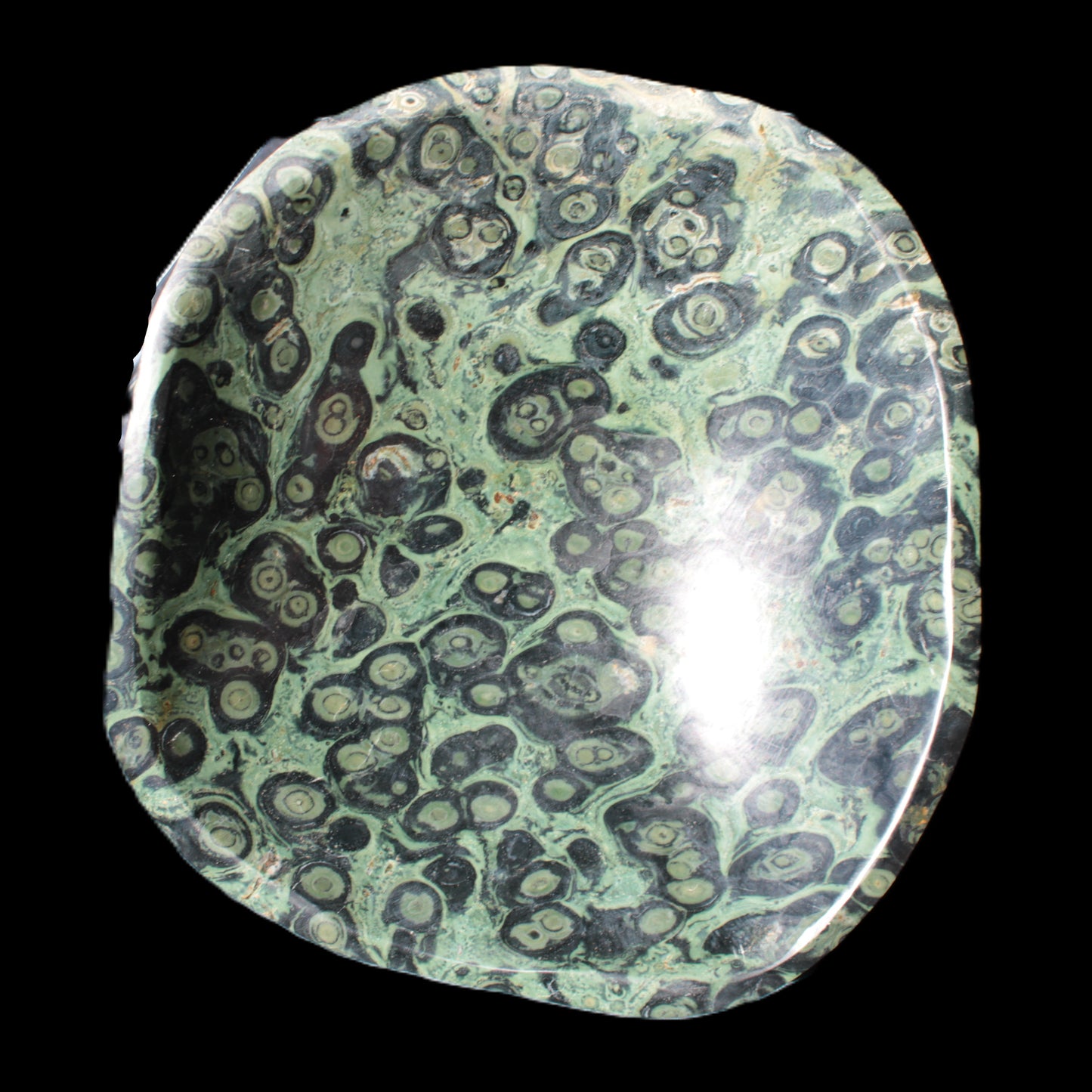 Kambaba Jasper bowl 203*203*49mm 1960g