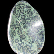 Kambaba Jasper bowl 203*203*49mm 1960g