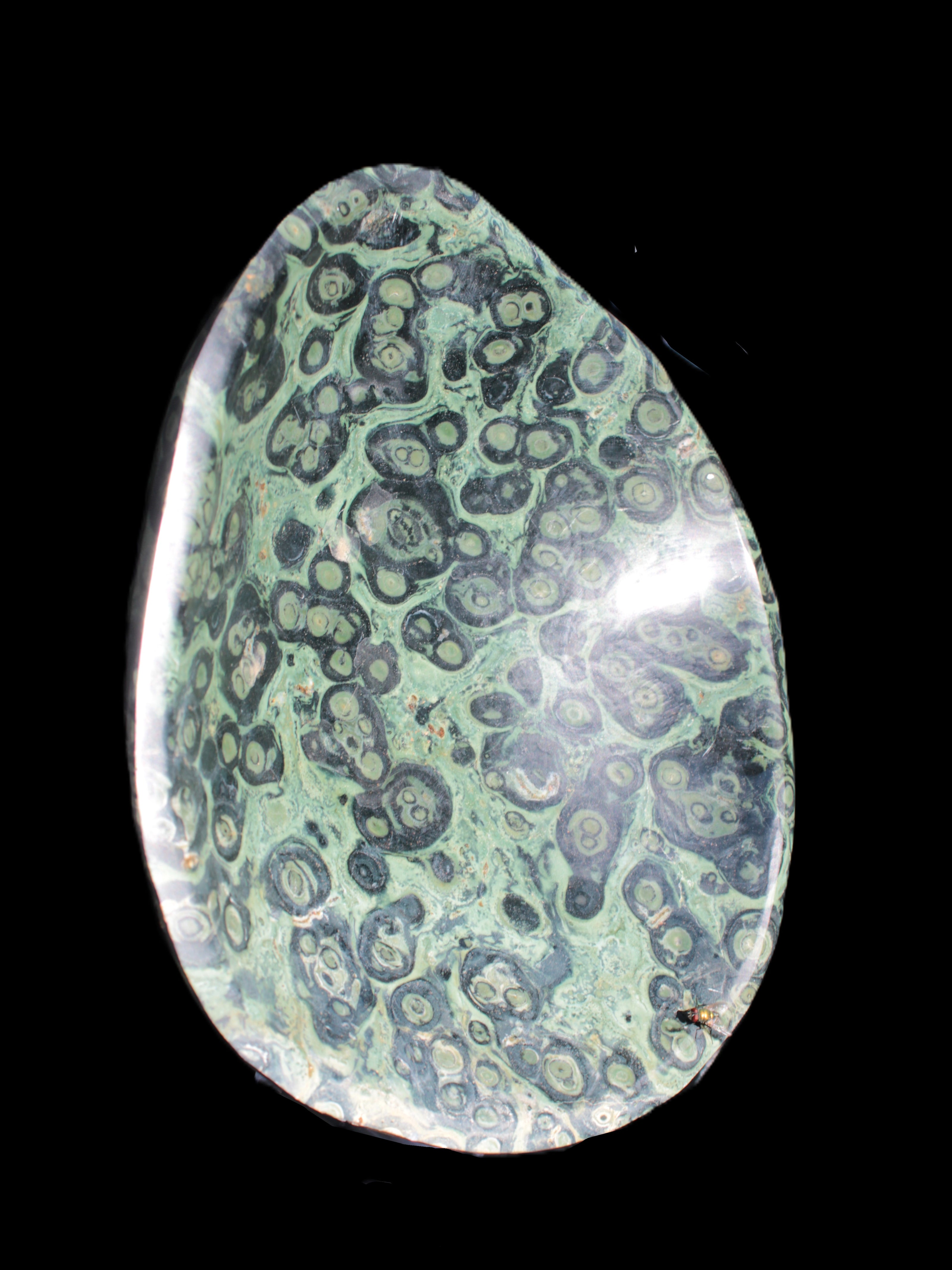 Kambaba Jasper bowl 203*203*49mm 1960g