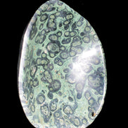 Kambaba Jasper bowl 203*203*49mm 1960g