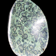 Kambaba Jasper bowl 203*203*49mm 1960g