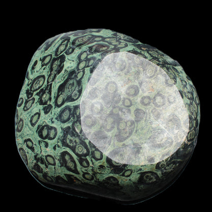 Kambaba Jasper bowl 203*203*49mm 1960g