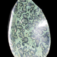 Kambaba Jasper bowl 203*203*49mm 1960g