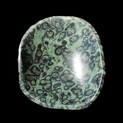 Kambaba Jasper bowl 203*203*49mm 1960g