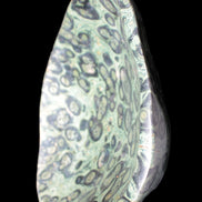 Kambaba Jasper bowl 203*203*49mm 1960g