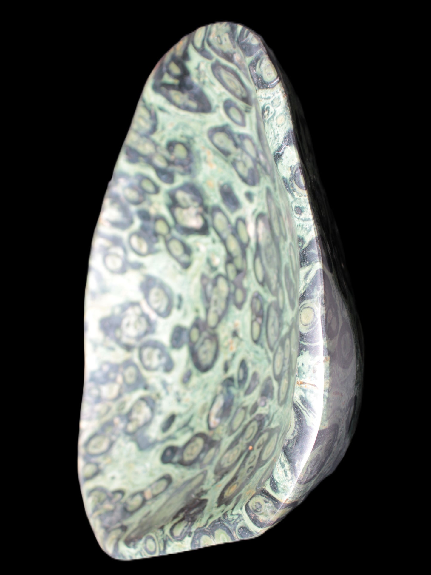 Kambaba Jasper bowl 203*203*49mm 1960g