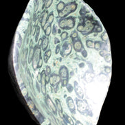 Kambaba Jasper bowl 203*203*49mm 1960g