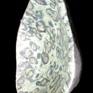 Kambaba Jasper bowl 203*203*49mm 1960g